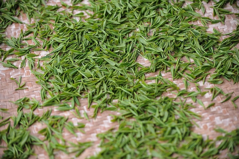 Tea Garden